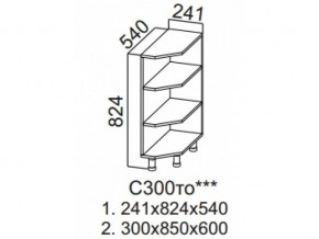 С300то Стол рабочий 300 (торцевой открытый) в Среднеуральске - sredneuralsk.magazin-mebel74.ru | фото