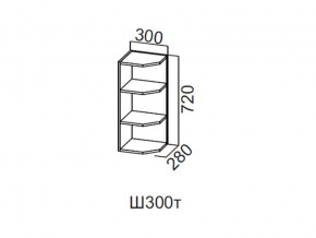 Ш300т/720 Шкаф навесной 300/720 (торцевой) в Среднеуральске - sredneuralsk.magazin-mebel74.ru | фото